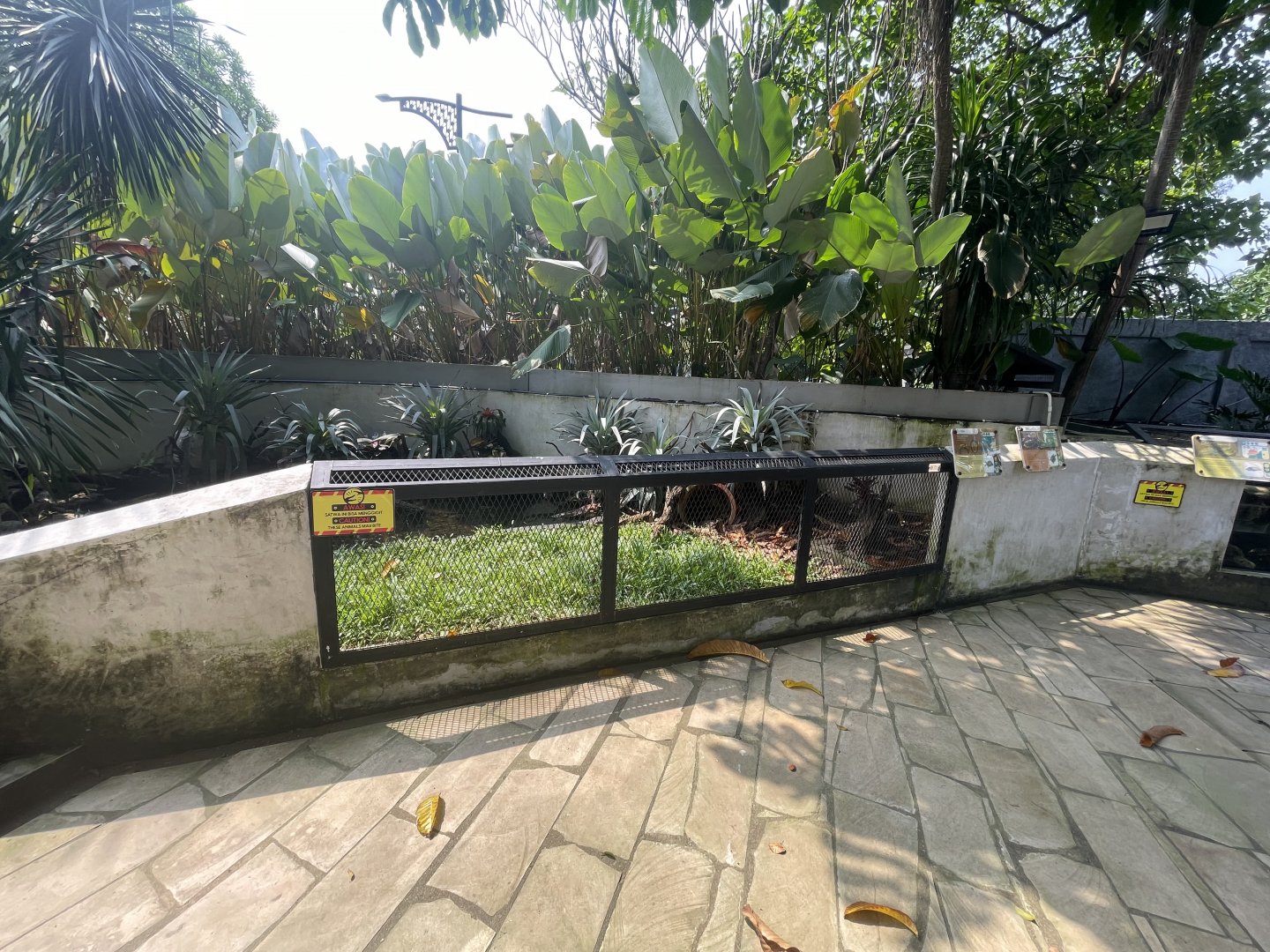 mixed turtle exhibit - museum komodo