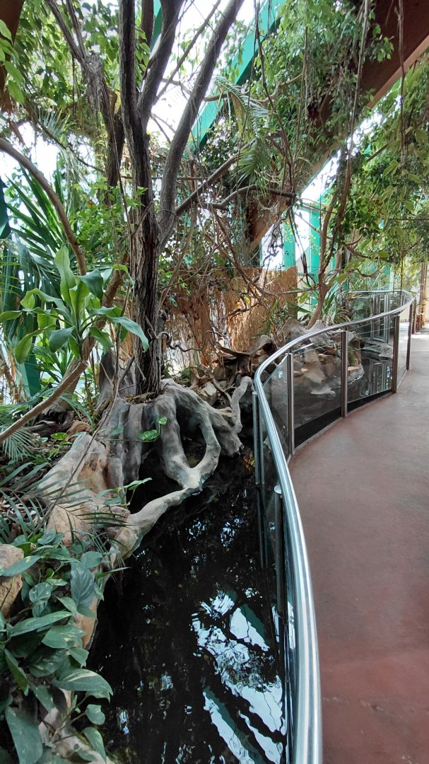 Mixed turtle exhibit