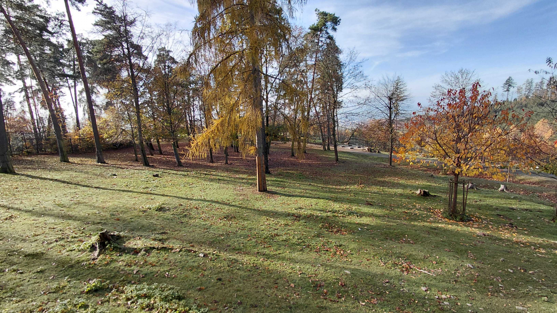 Mixed ungulate exhibit
