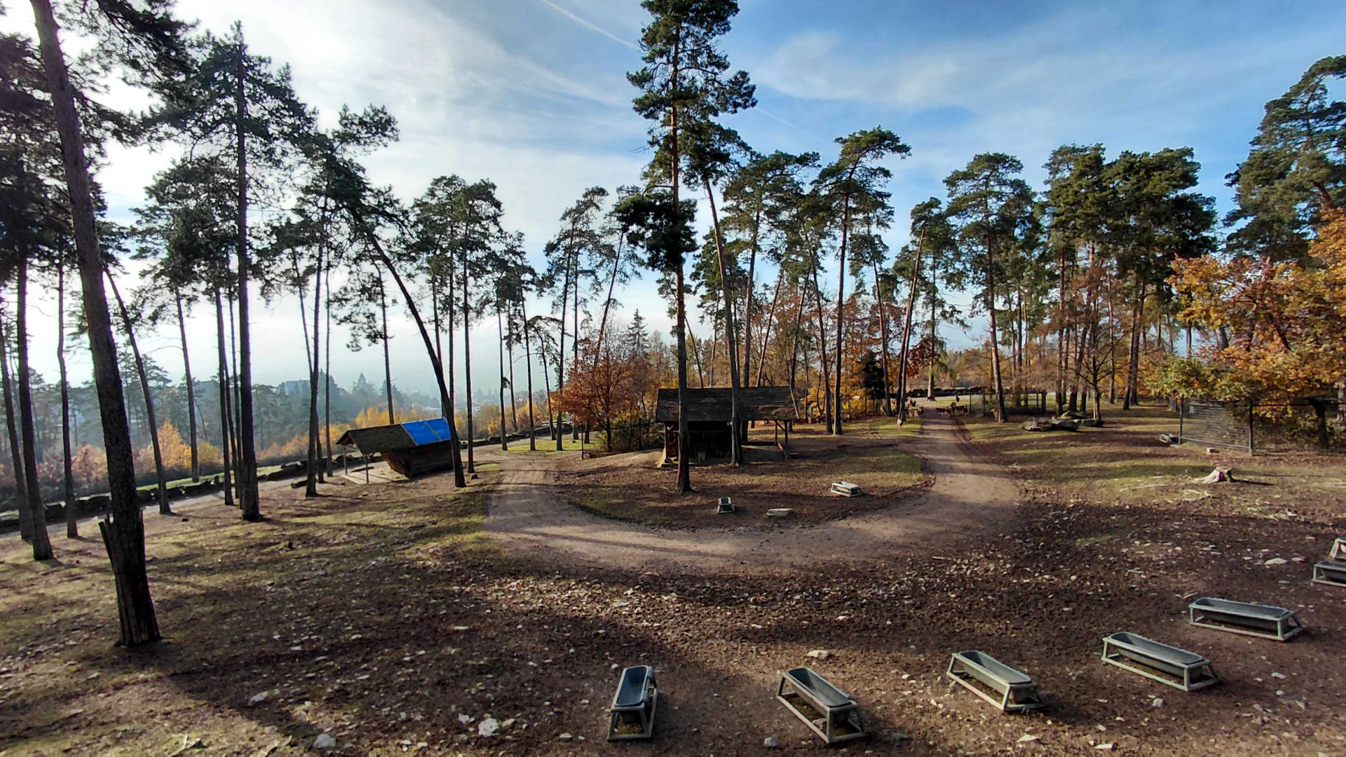 Mixed ungulate exhibit