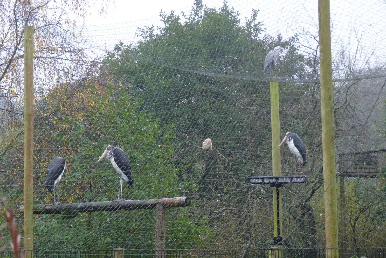 Mixed View, November 2015