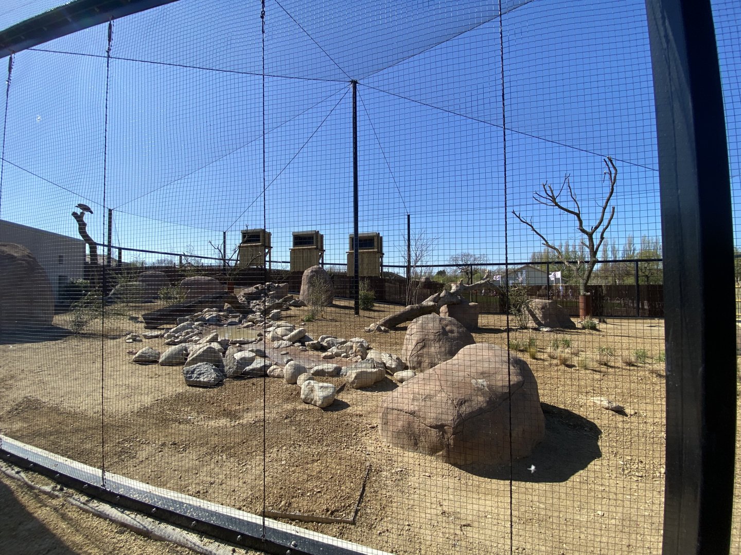 Mixed vulture aviary