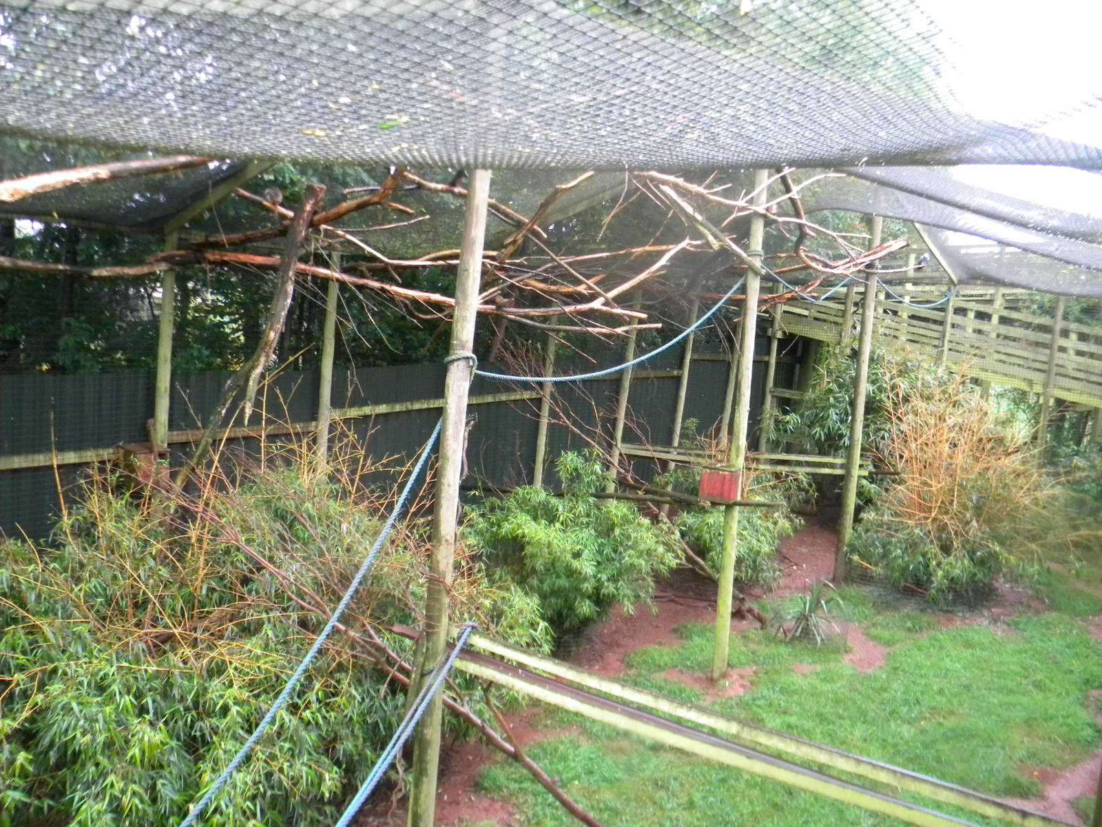 Mixed walk-through enclosure at SLWAP 16/07/11