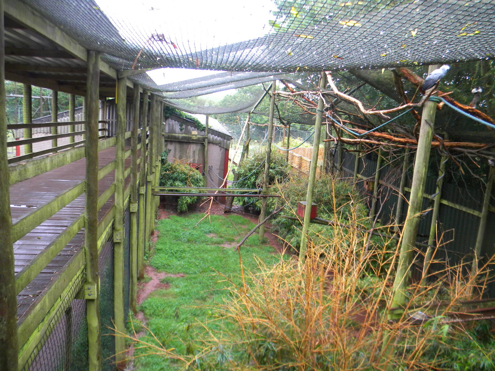 Mixed walk-through enclosure at SLWAP 16/07/11