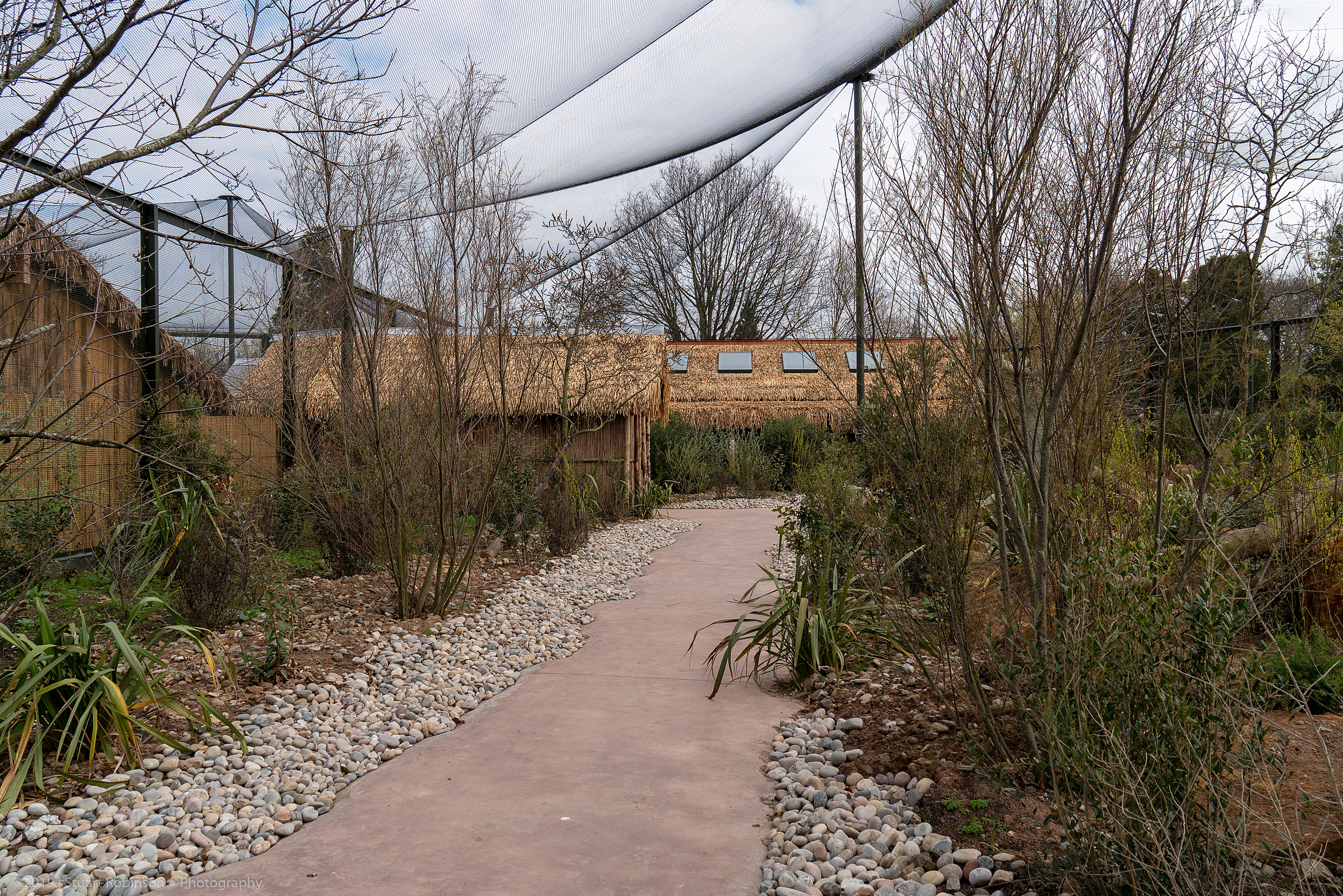 Mixed Walk-through - Madagascar Exhibit - 26/03/2019