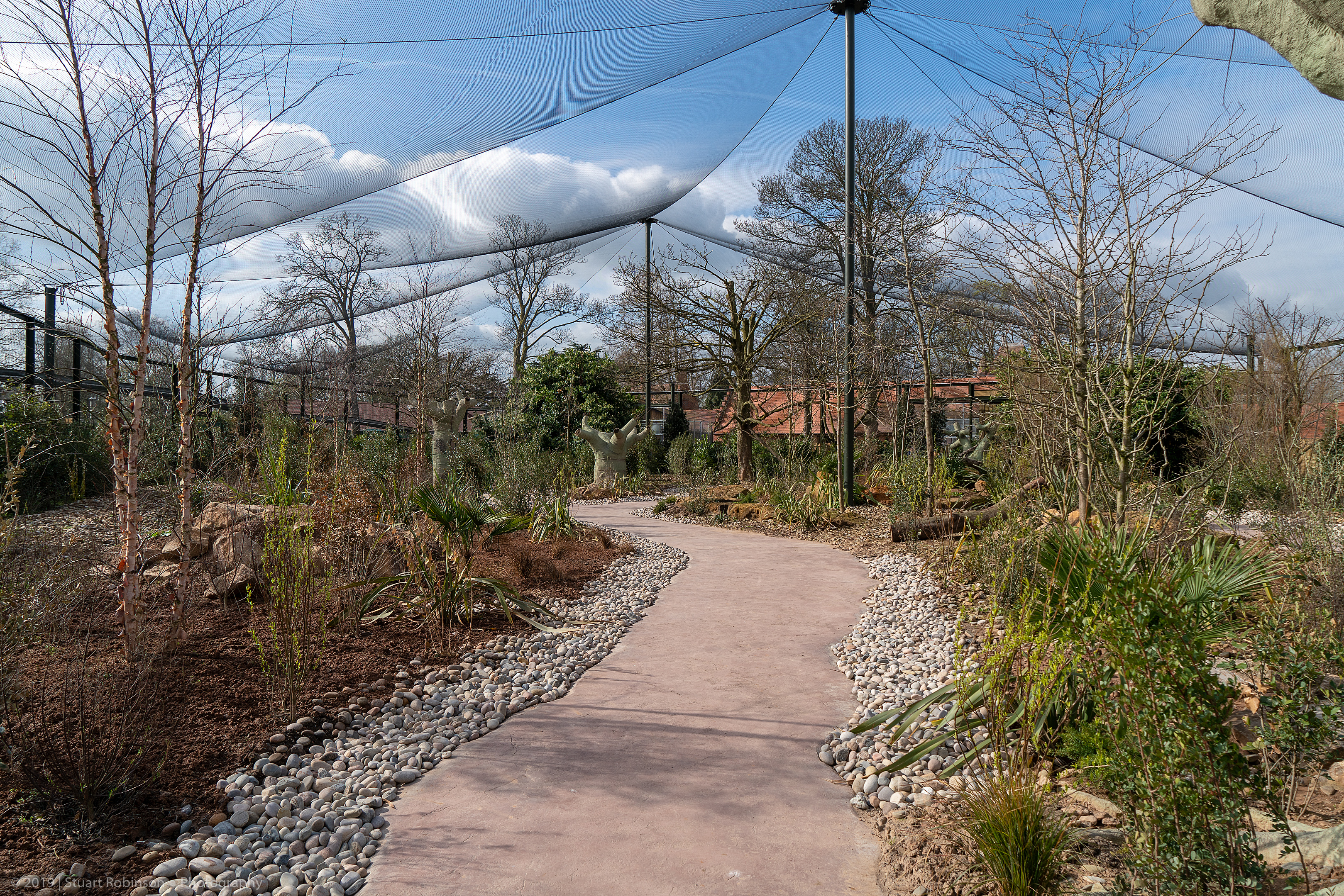 Mixed Walk-through - Madagascar Exhibit - 26/03/2019