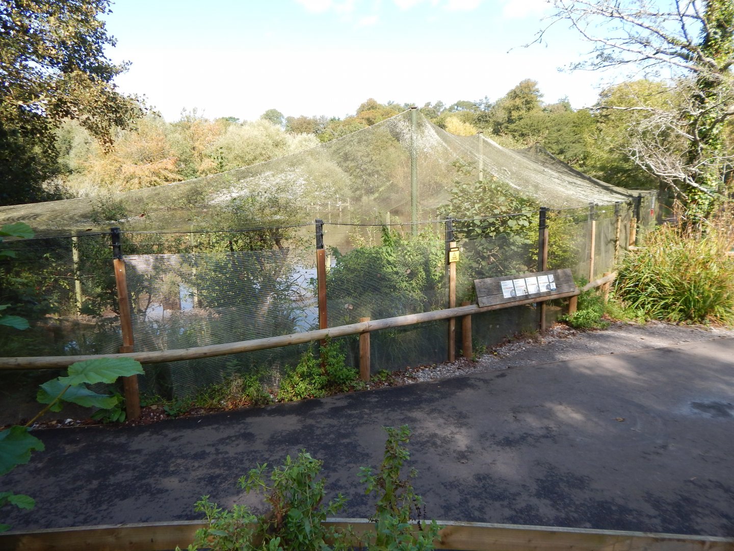 Mixed waterfowl aviary 290923