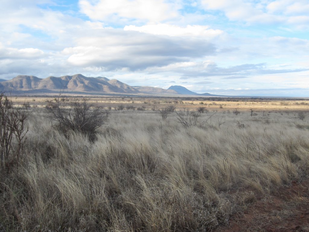 Mkomazi National Park