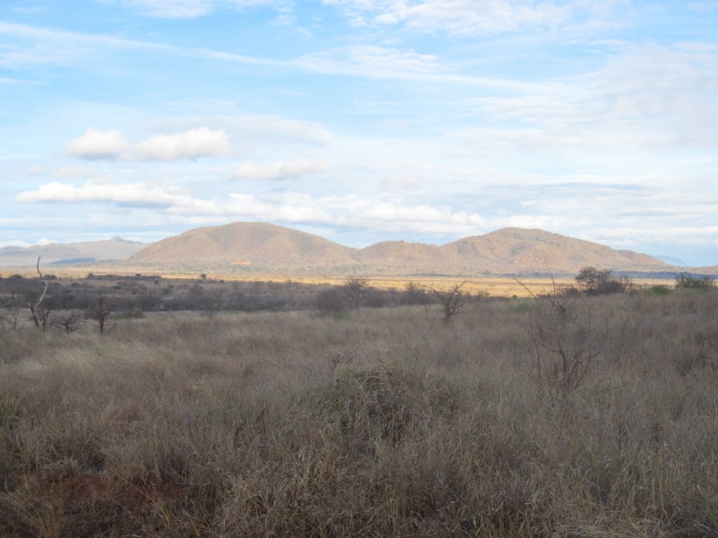 Mkomazi National Park