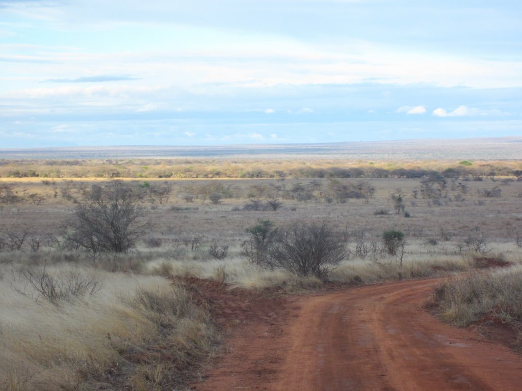 Mkomazi National Park
