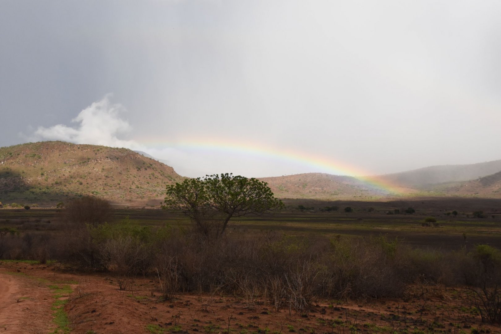 Mkomazi National Park