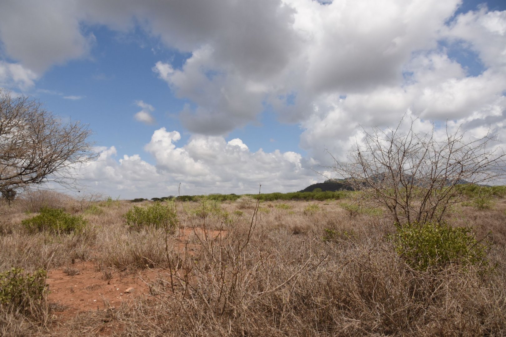 Mkomazi National Park