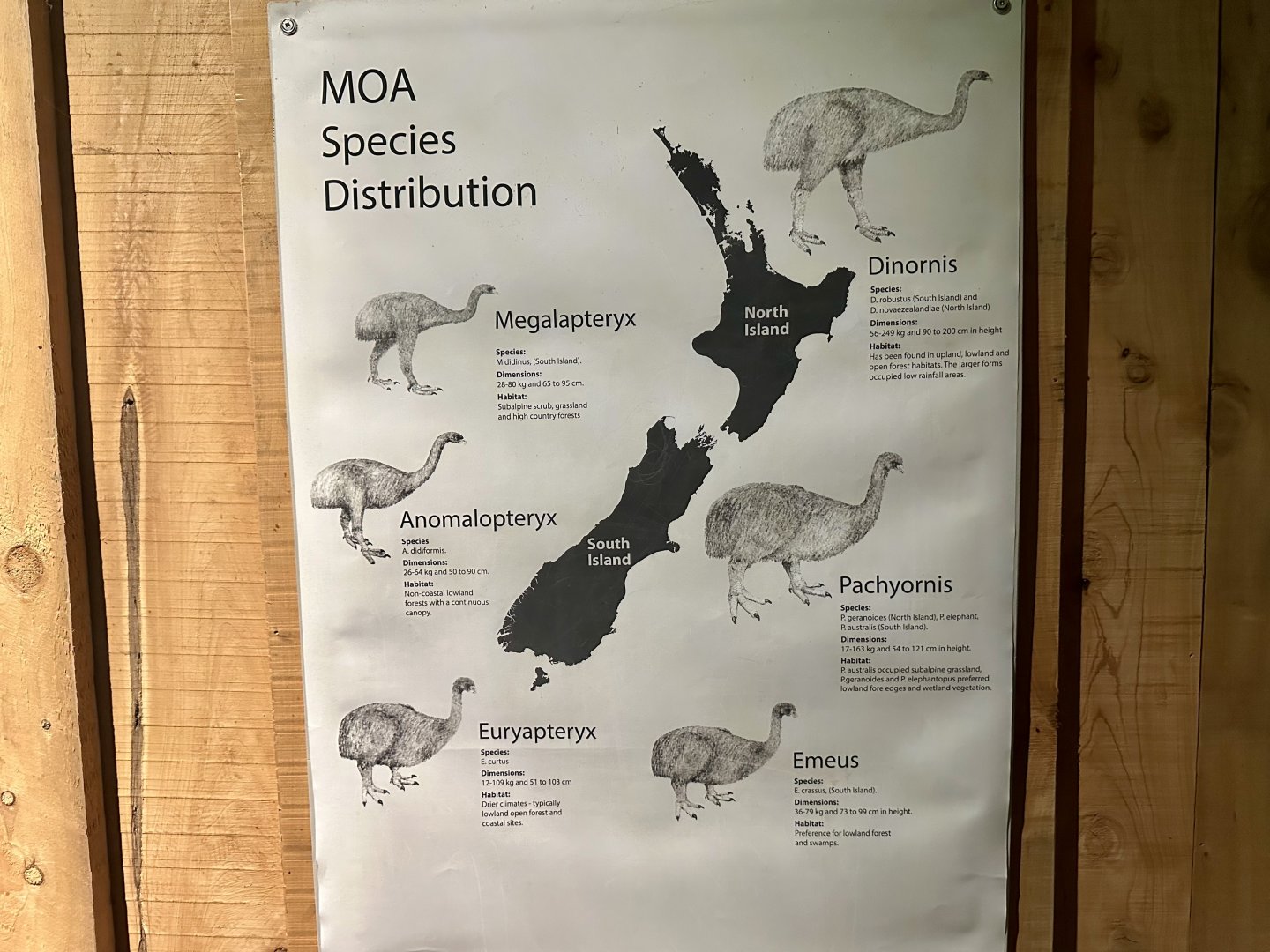 Moa Species Distribution Signage