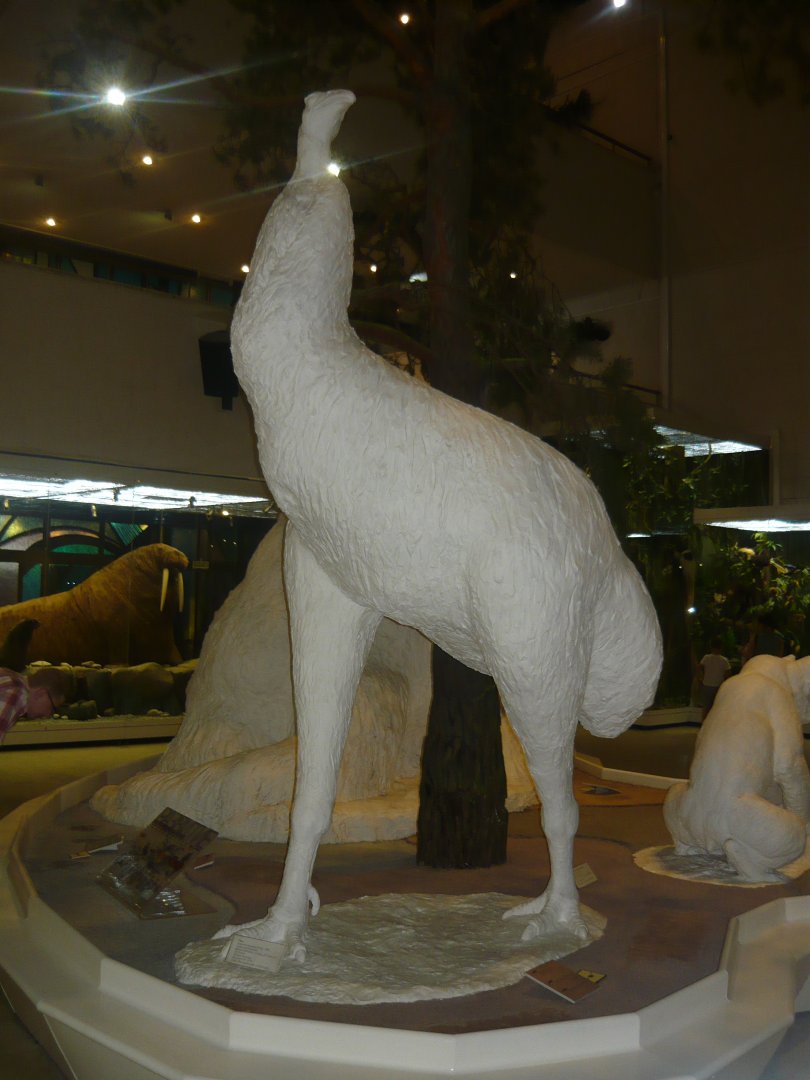 Moa statue