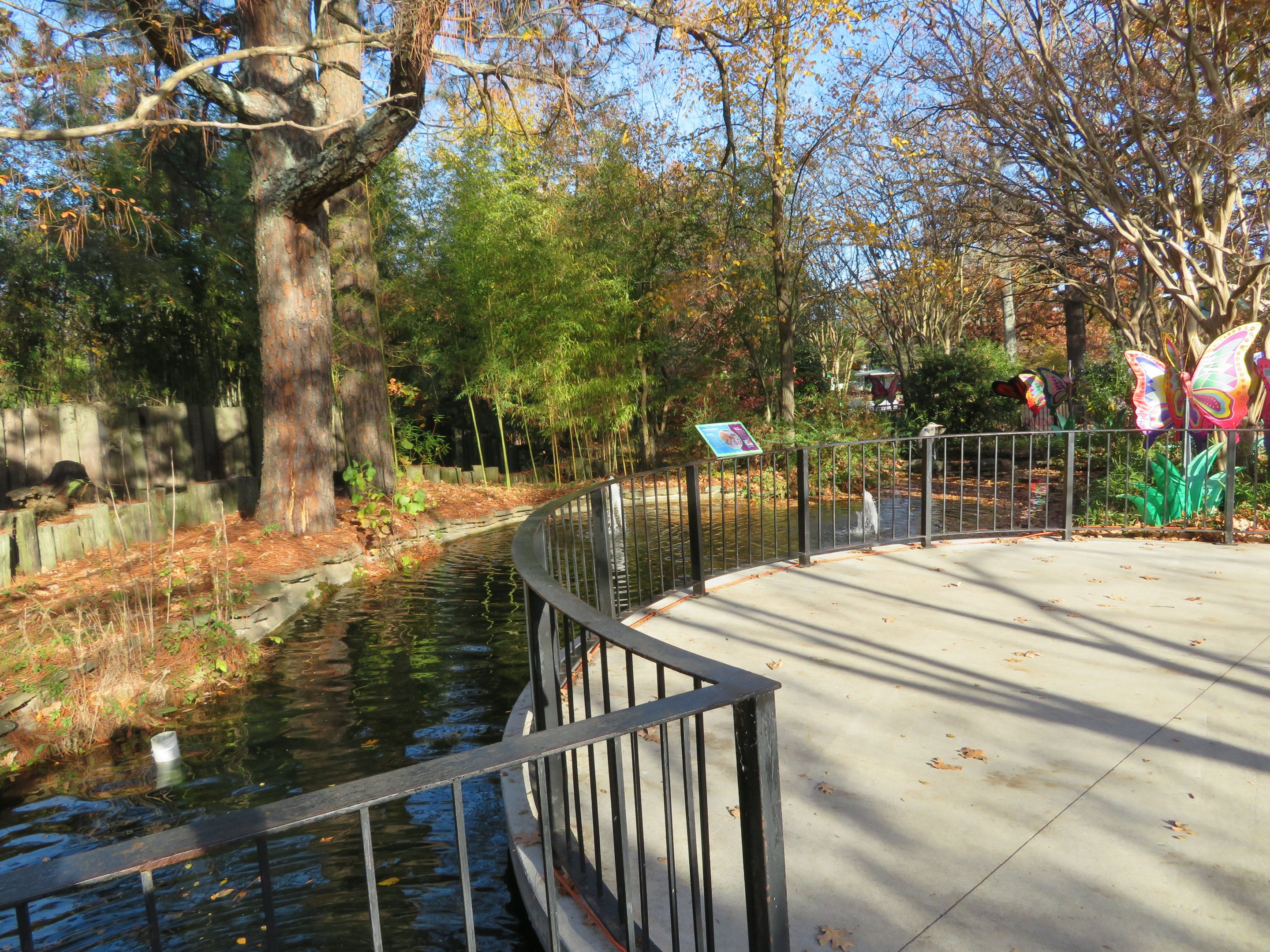 Moat Around Fence Around Red River Hogs