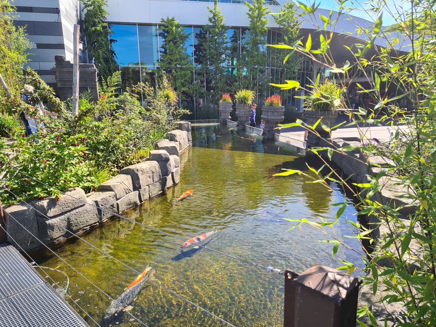 Moat around Monkey ruins