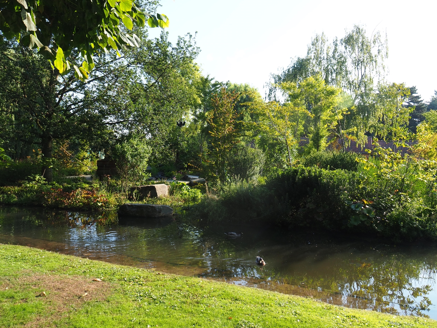Moat around the Nuboso exhibit (Sep 2nd, 2018)
