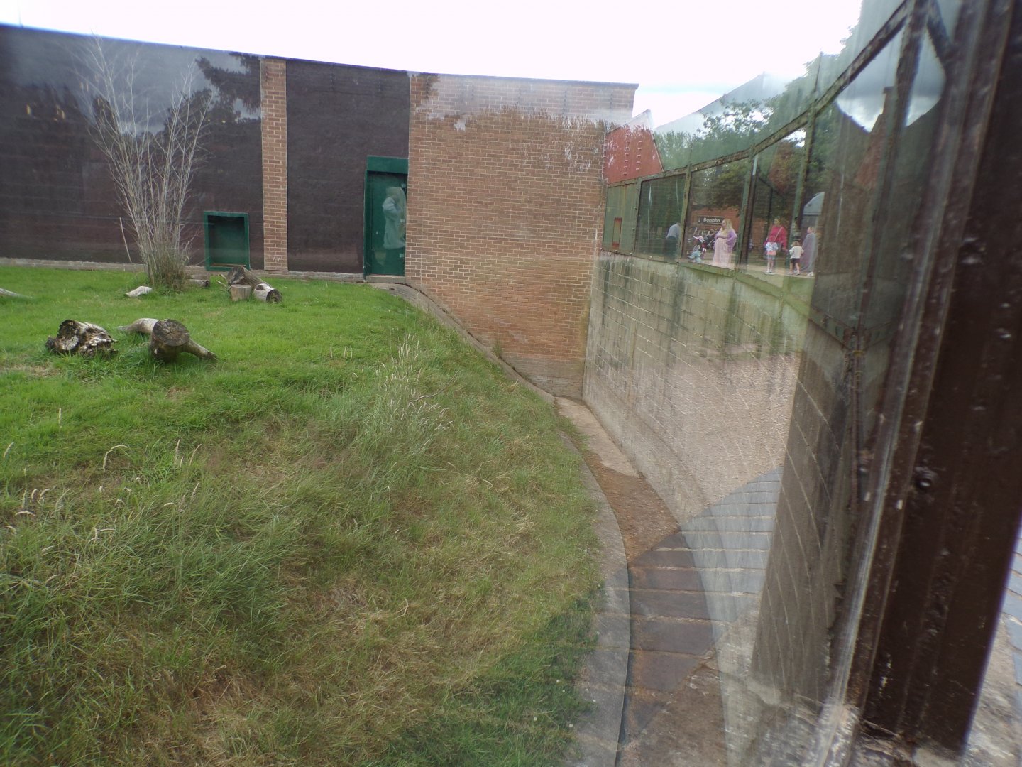 Moat next to primate enclosure 7.7.24