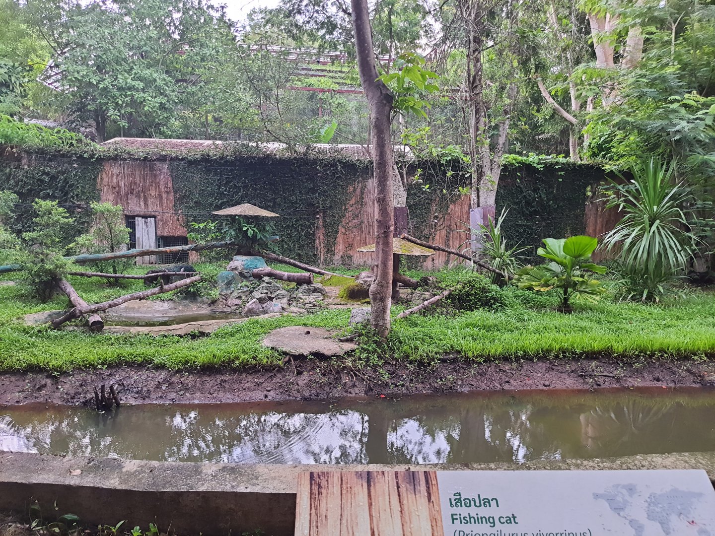 Moat surrounding the Fishing Cat exhibit