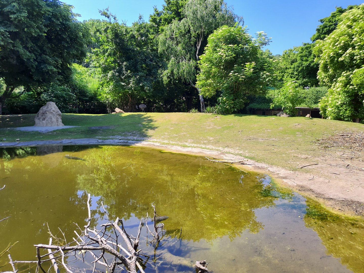 Moat surrounding the South American enclosure- Tiergarten Schönbrunn