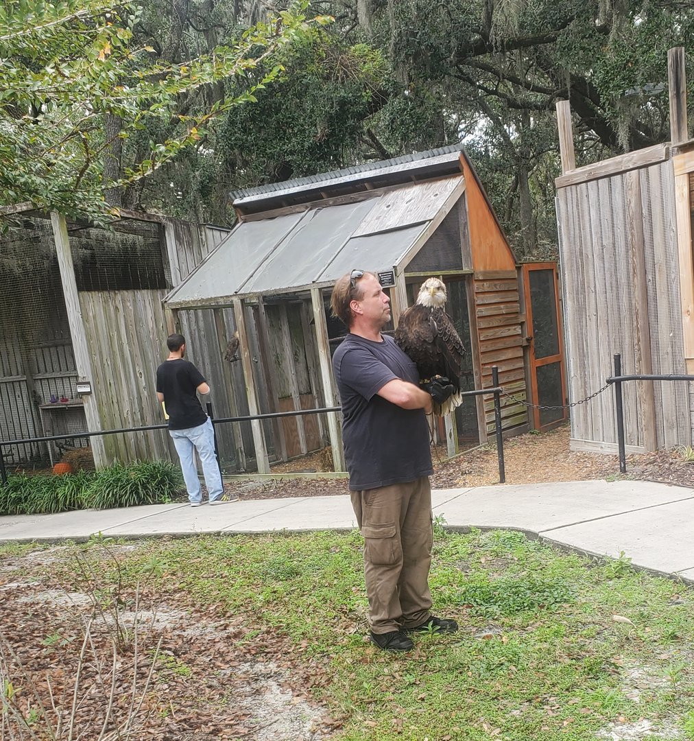 Moccasin Lake (Tampa Bay Raptor Center - 2022) - Bald Eagle demonstration