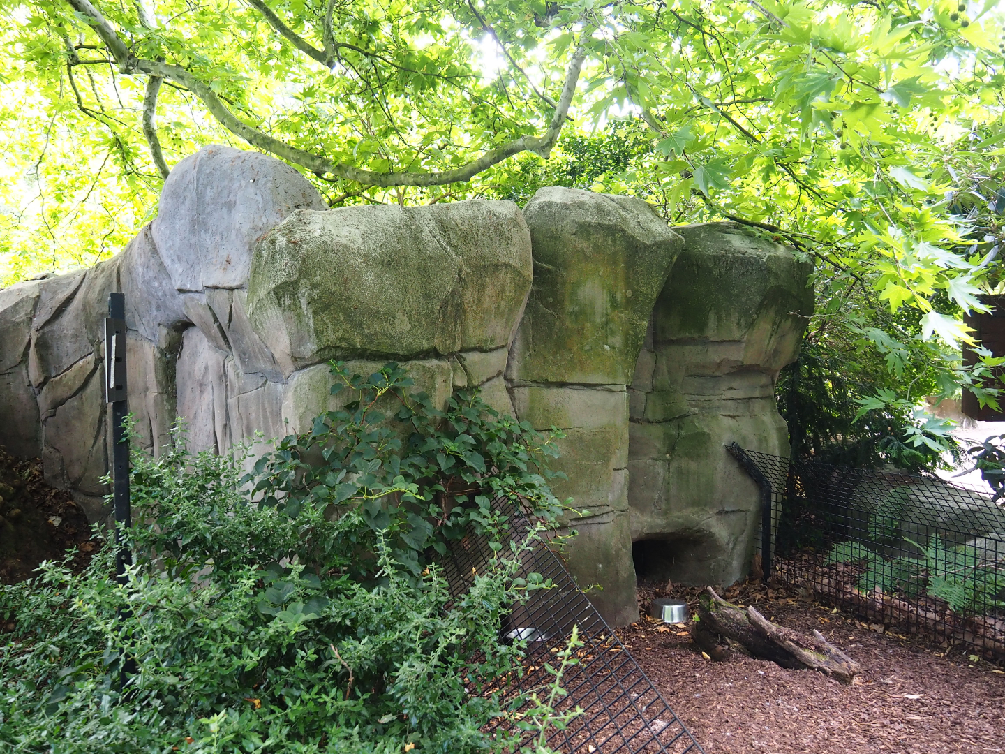 Mock rock structure - Bar-headed goose shack, 2020-06-28