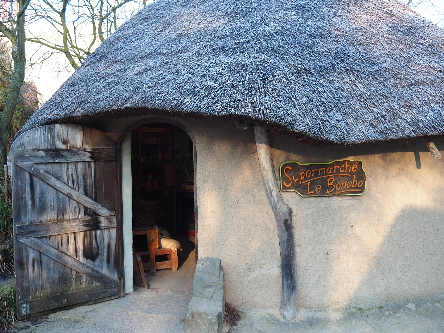 Mock-up African supermarket (Jan 20th, 2019)