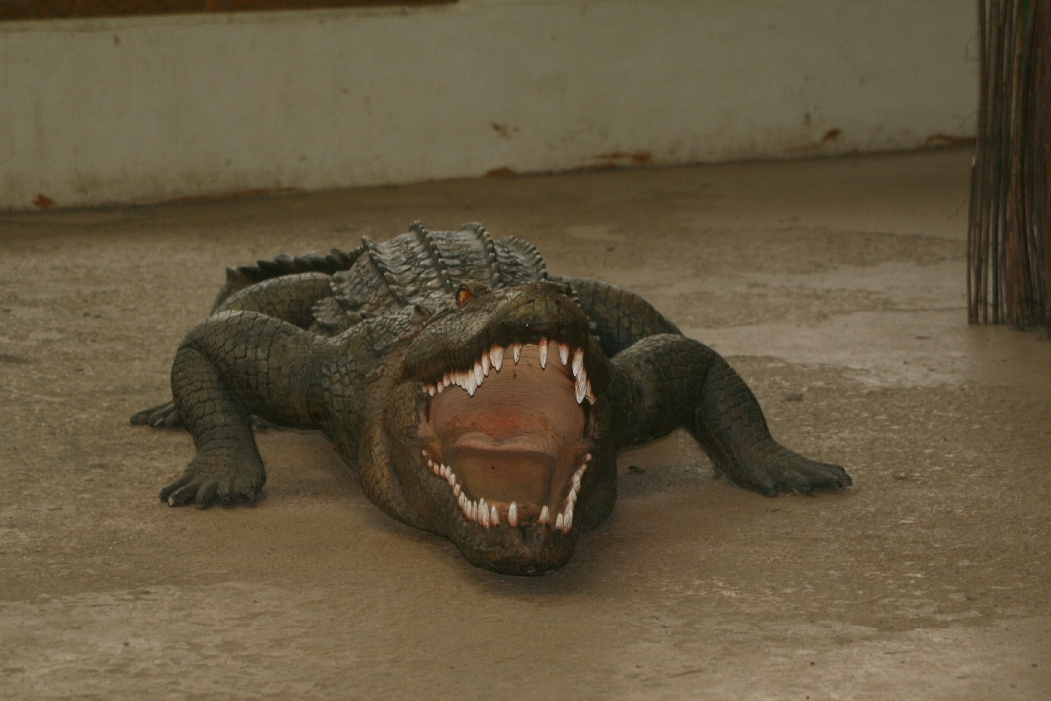 Model Crocodile