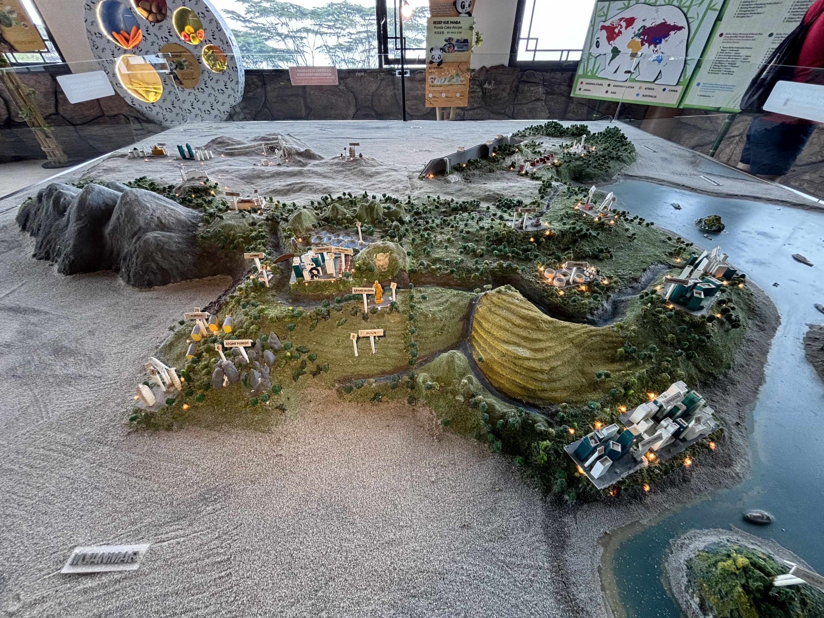 Model - Giant Panda Complex