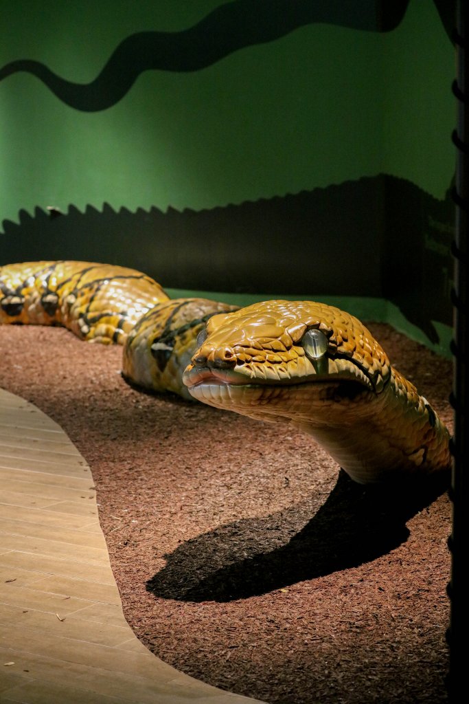 Model of a giant python