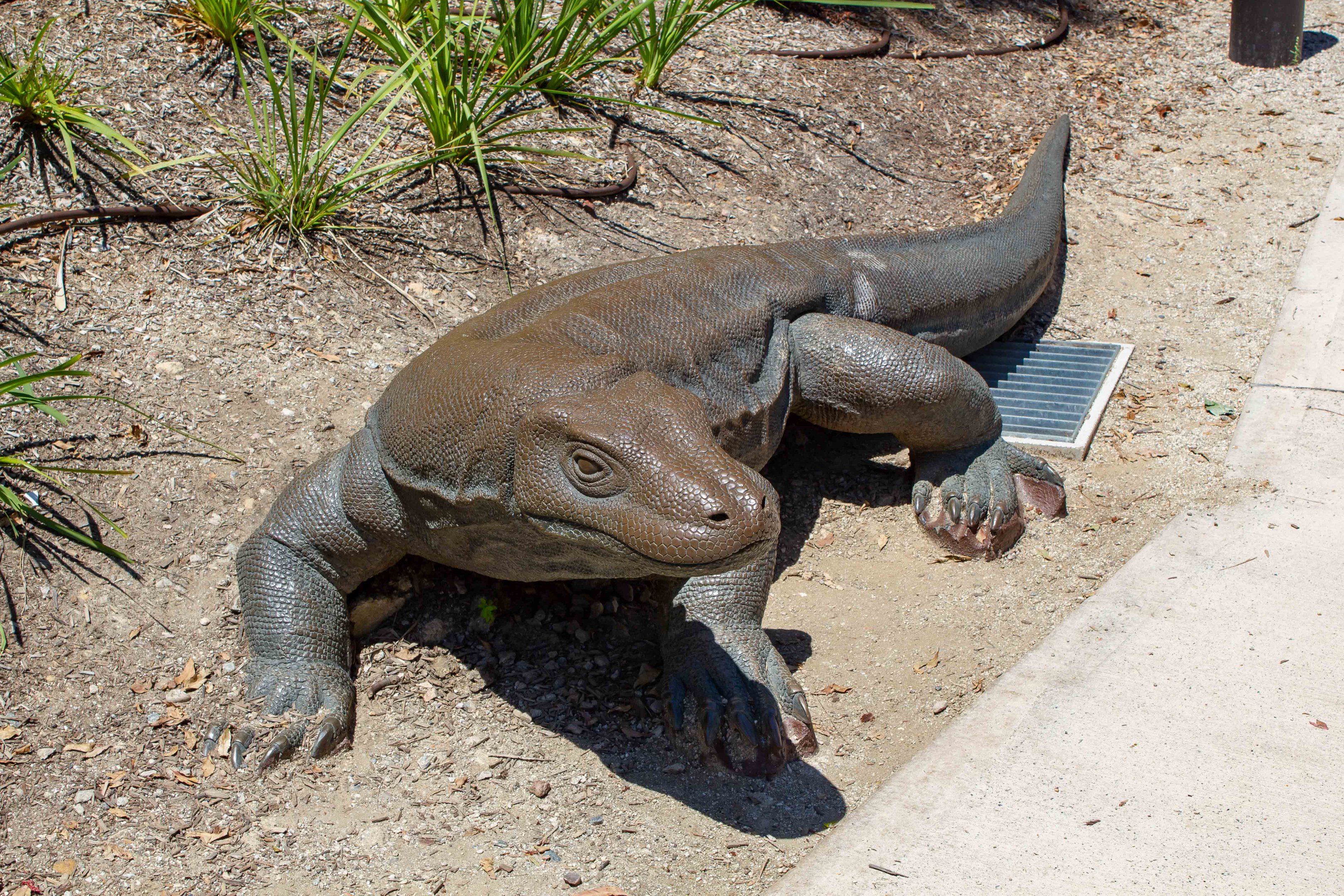 Model of a Komodo Dragon