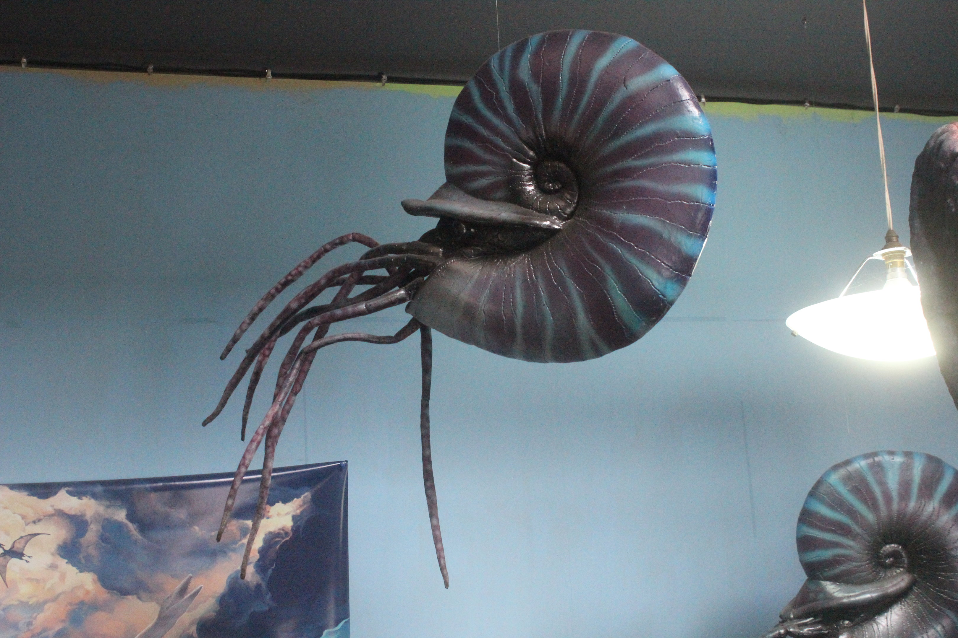 Model of Ammonite, The Dinosaur House (Raetihi)