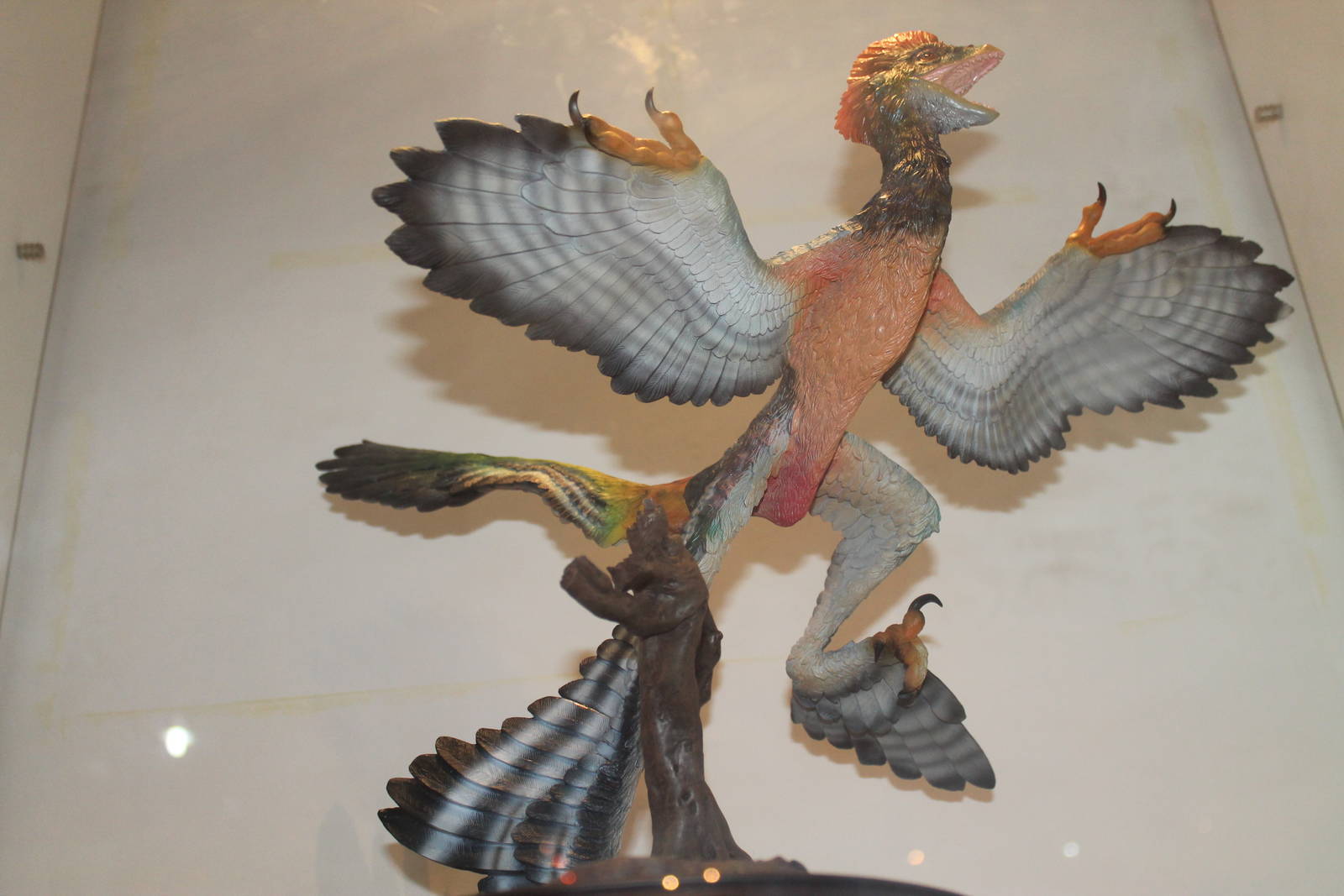 model of Anchiornis huxleyi