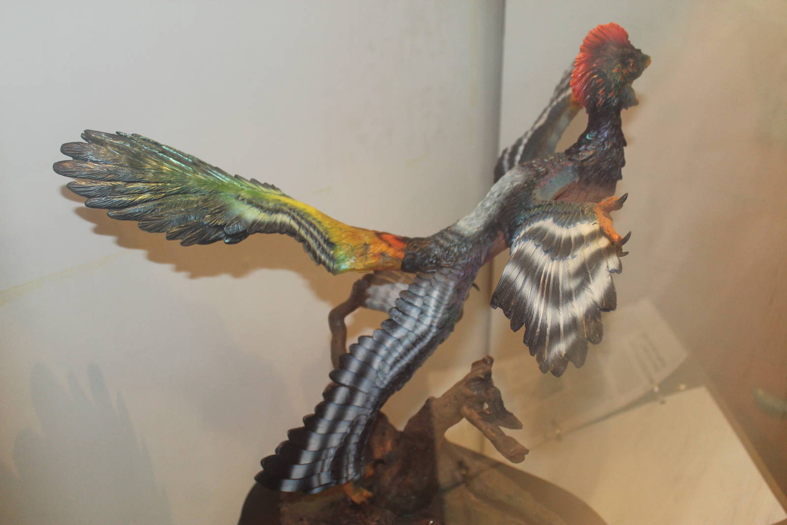 model of Anchiornis huxleyi