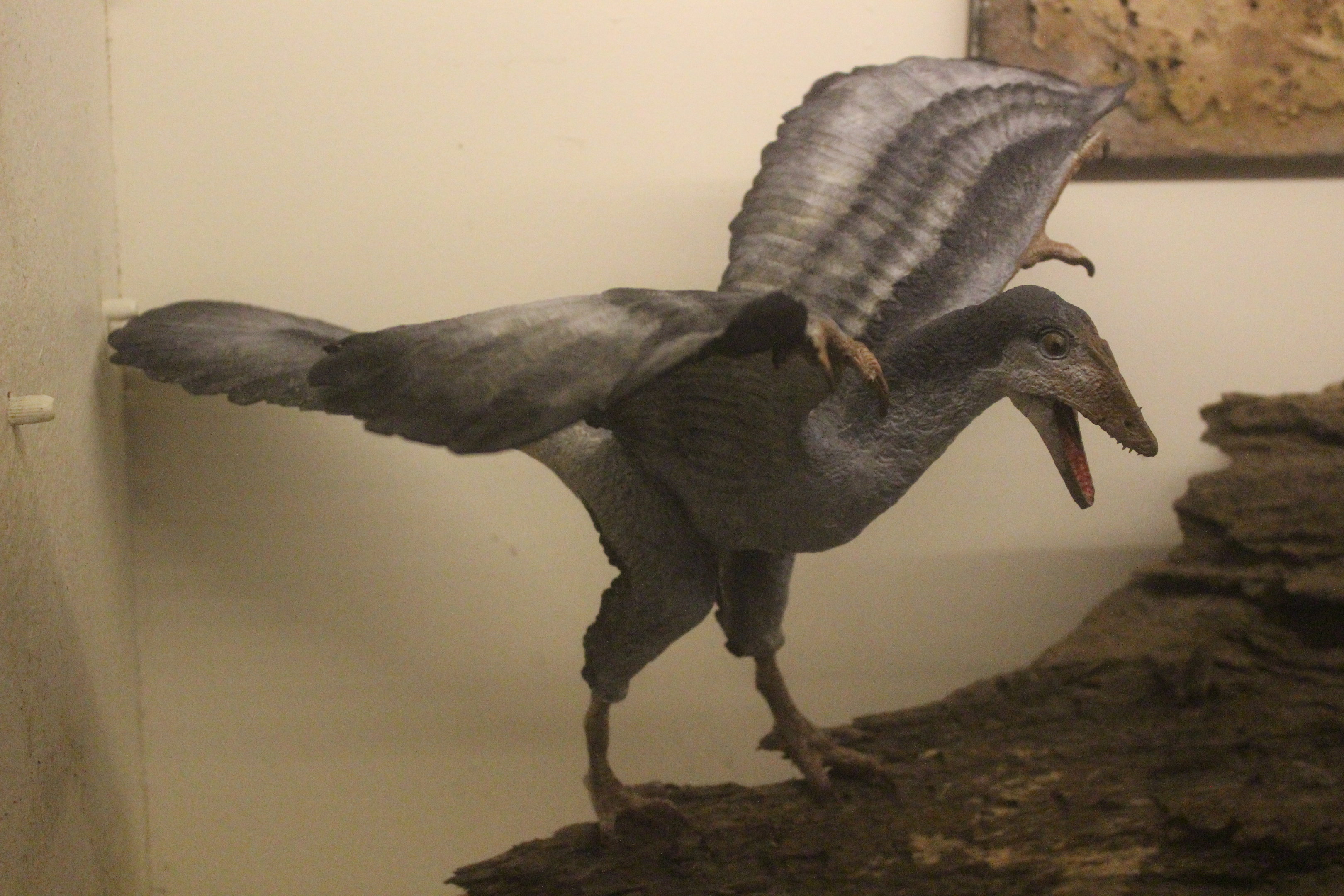Model of Archaeopteryx, The Dinosaur House (Raetihi)