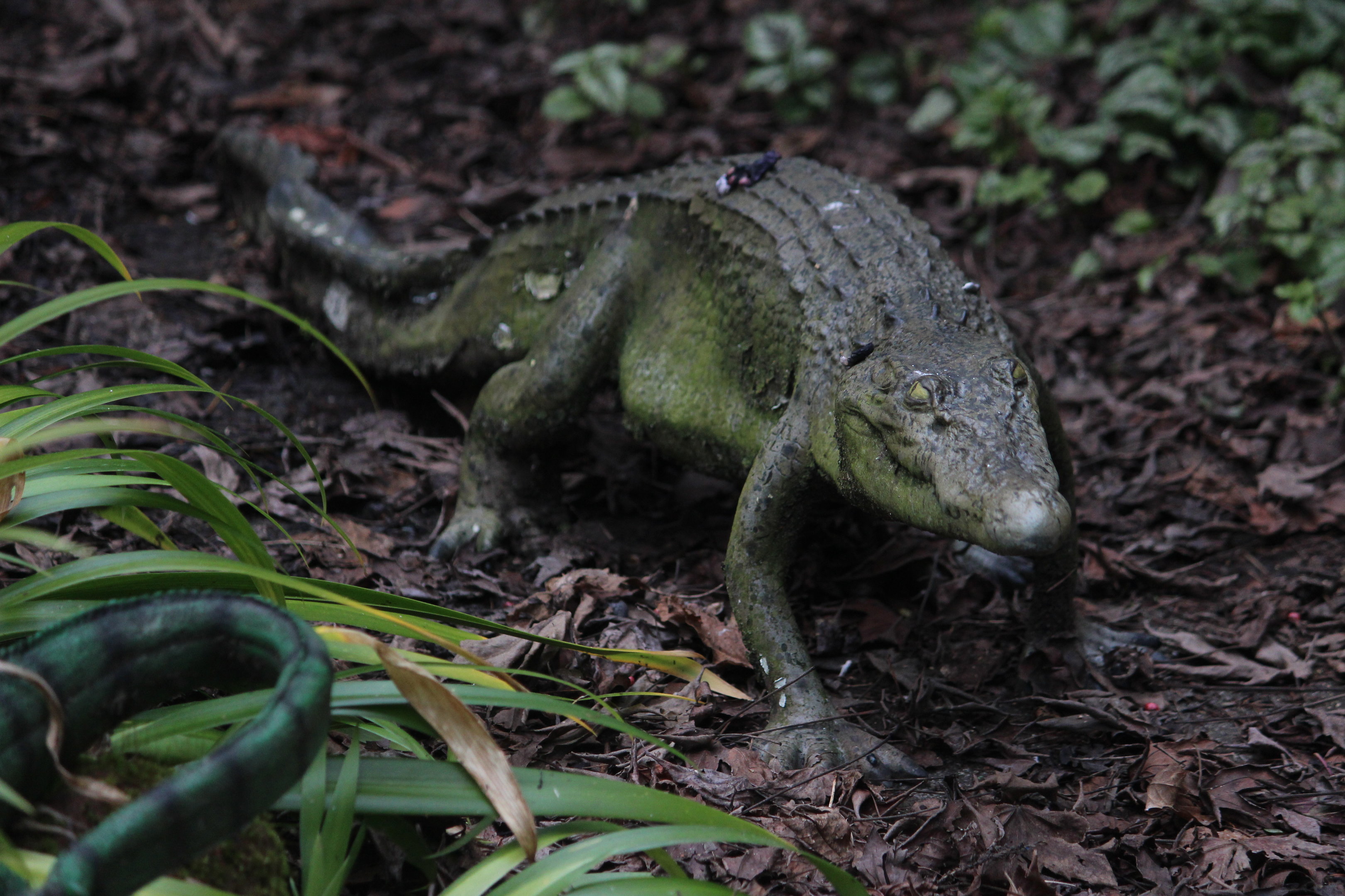 Model of crocodilian, The Dinosaur House (Raetihi)