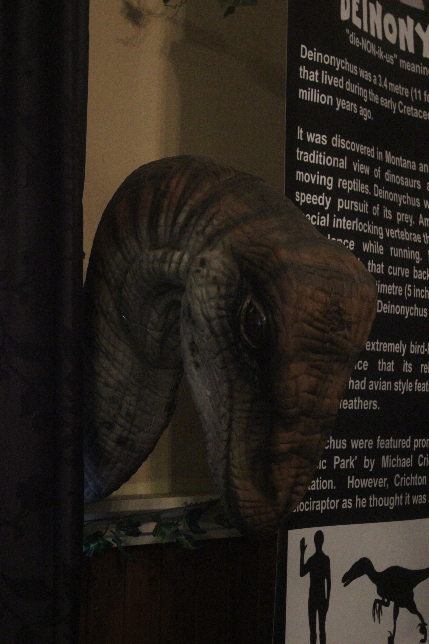 Model of Deinonychus, The Dinosaur House (Raetihi)