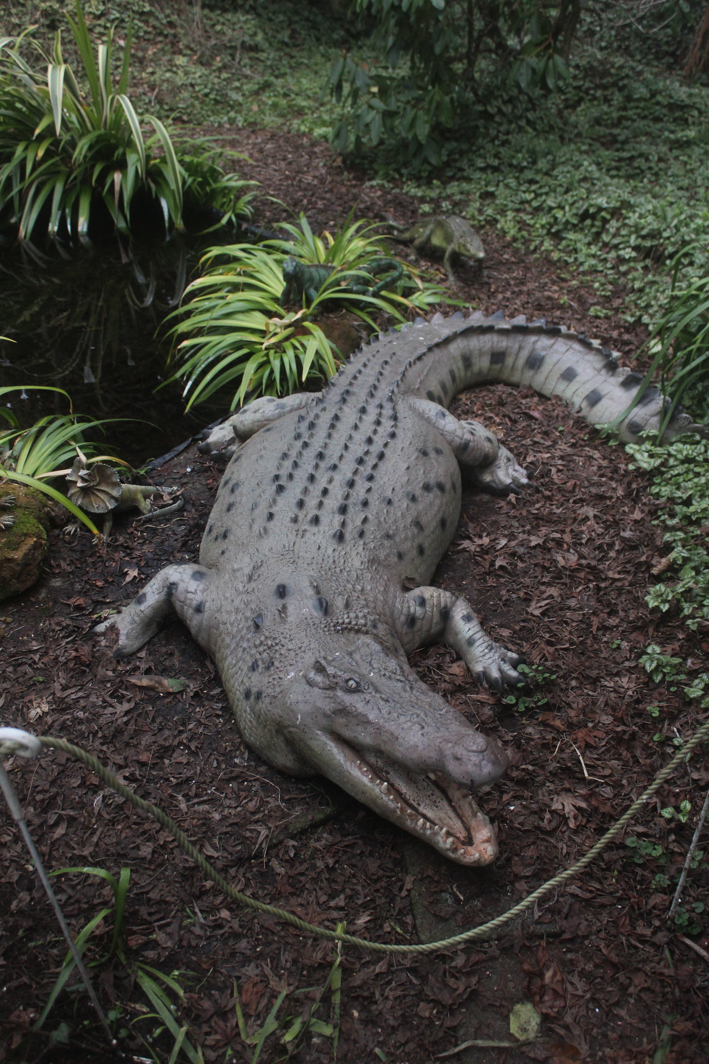 Model of Deinosuchus, The Dinosaur House (Raetihi)