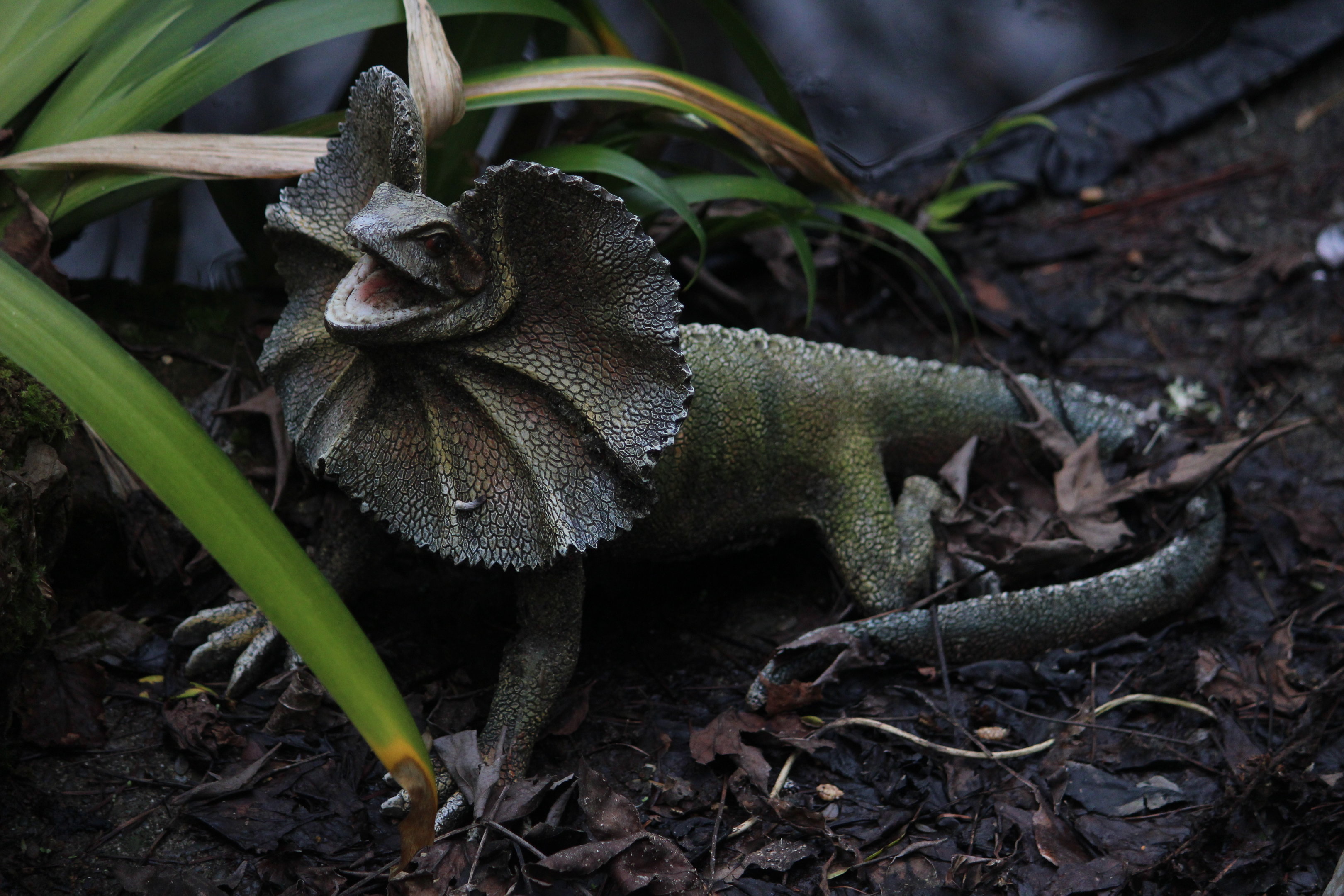 Model of Frilled Lizard, The Dinosaur House (Raetihi)