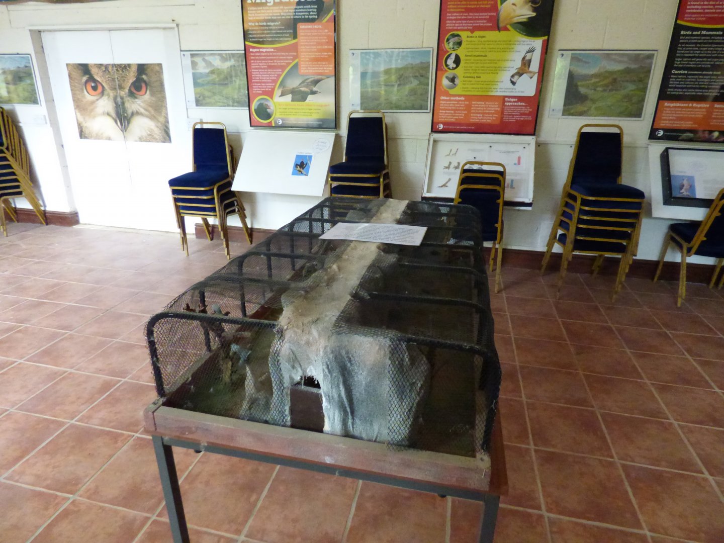 Model of future Condor Aviaries