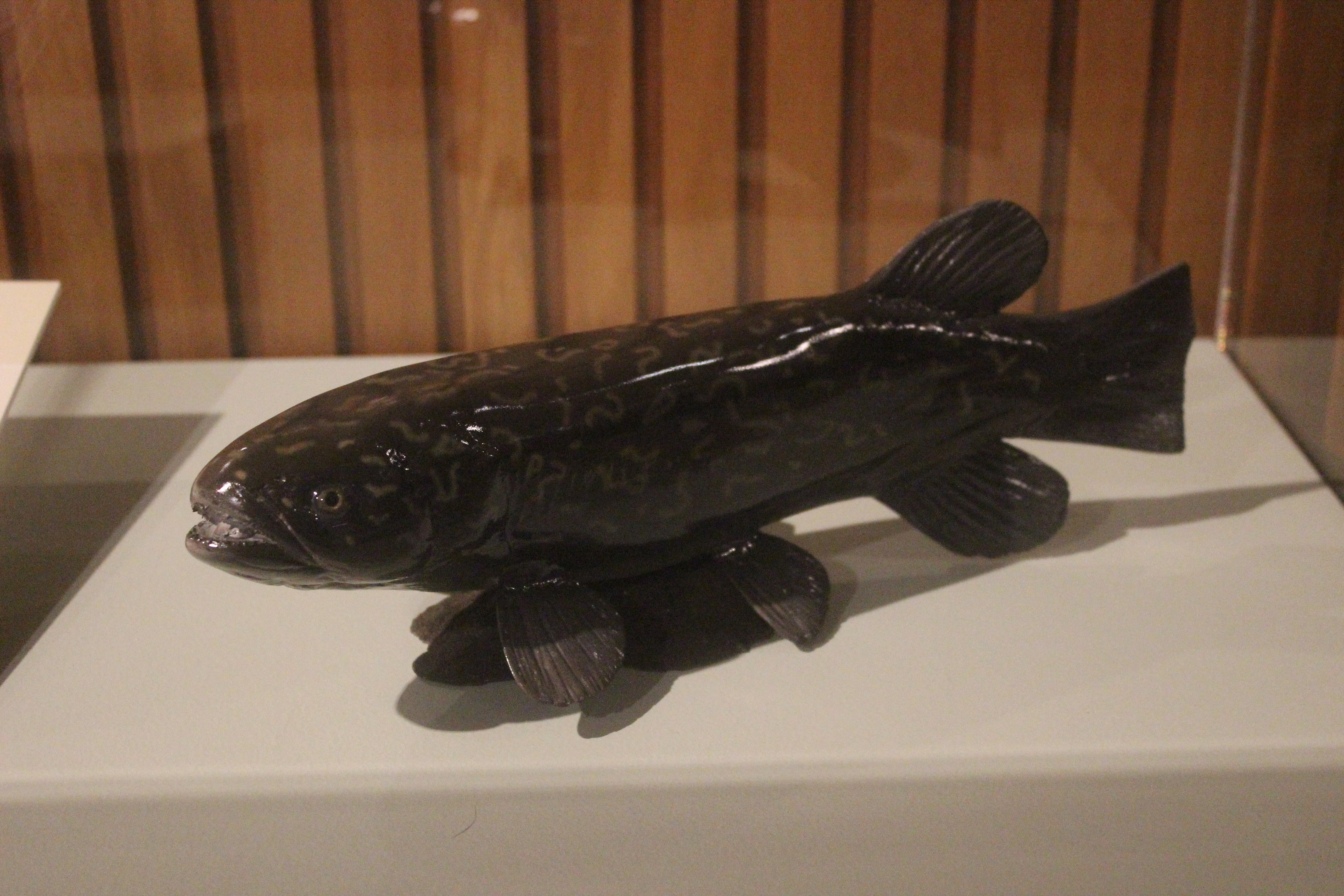 Model of Giant Kōkopu, Whanganui Regional Museum