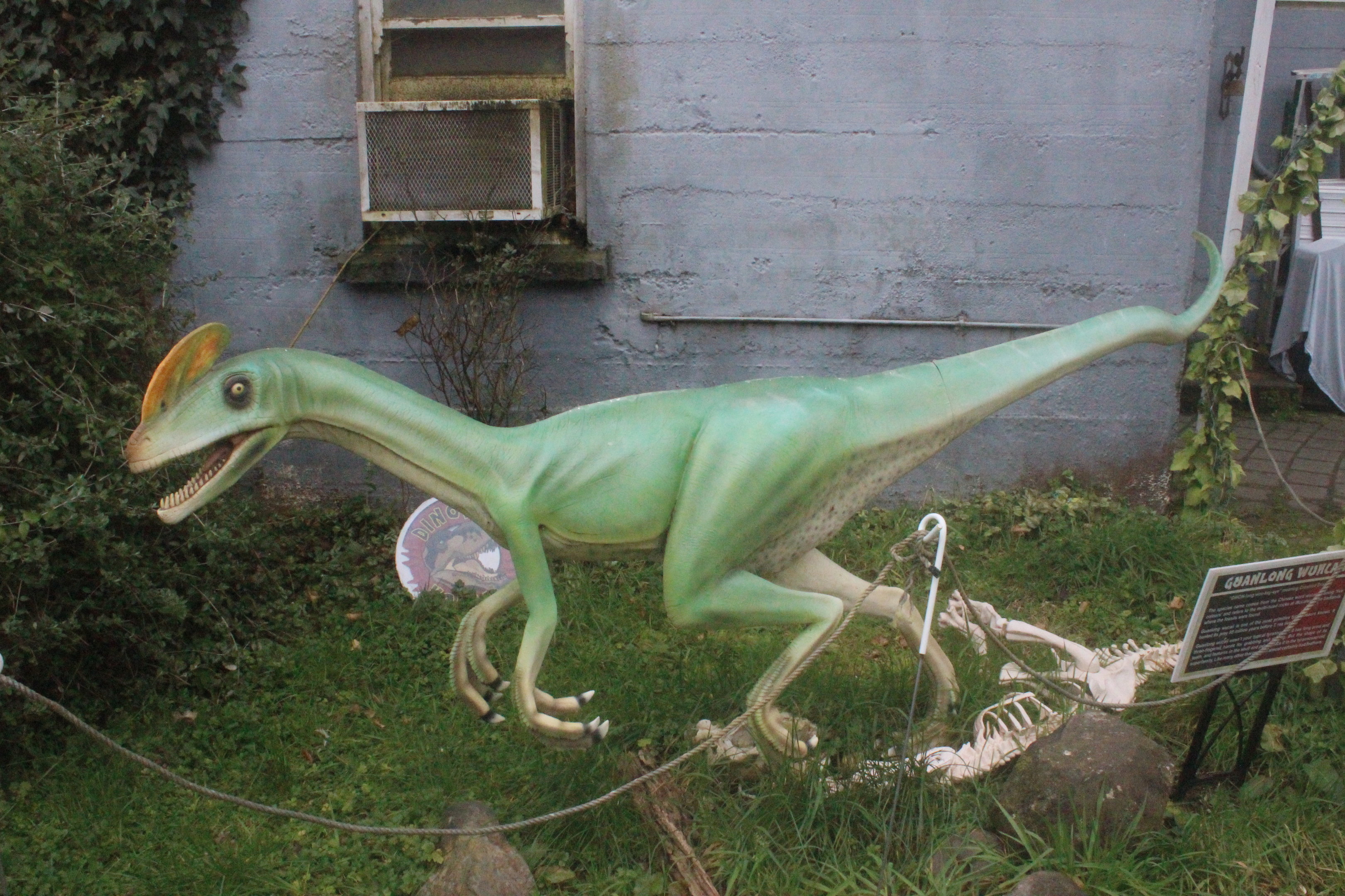 Model of Guanlong wucaii, The Dinosaur House (Raetihi)