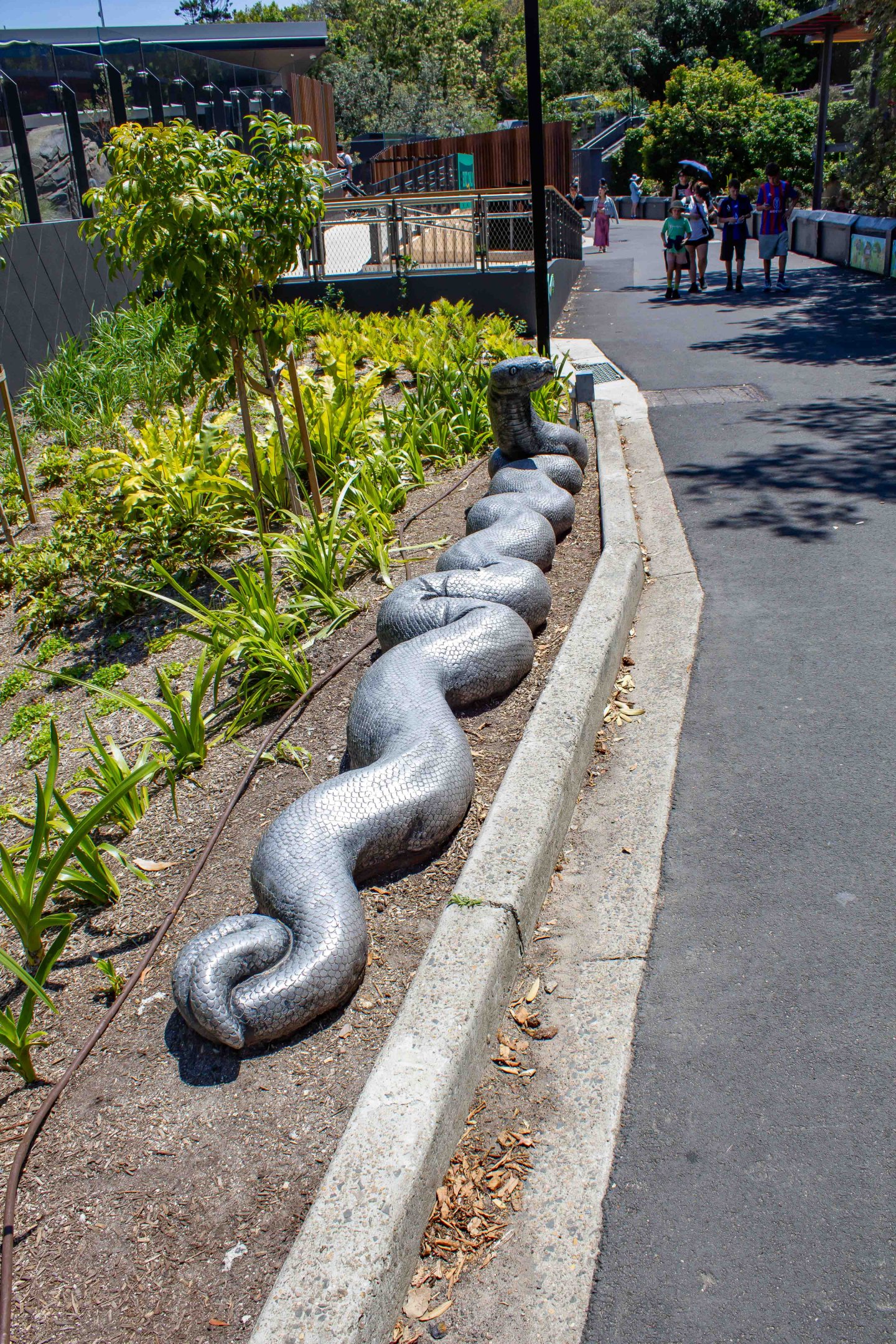 Model of large python