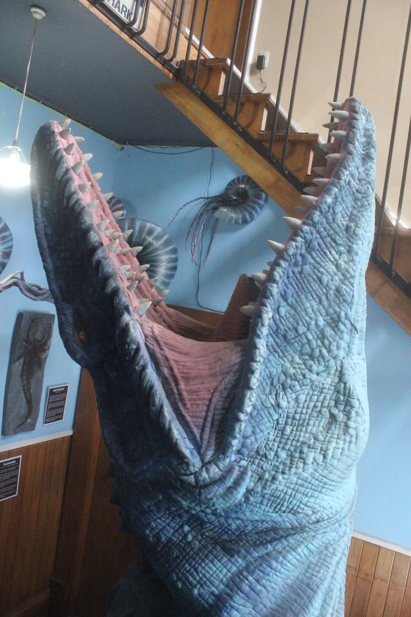 Model of Mosasaur, The Dinosaur House (Raetihi)