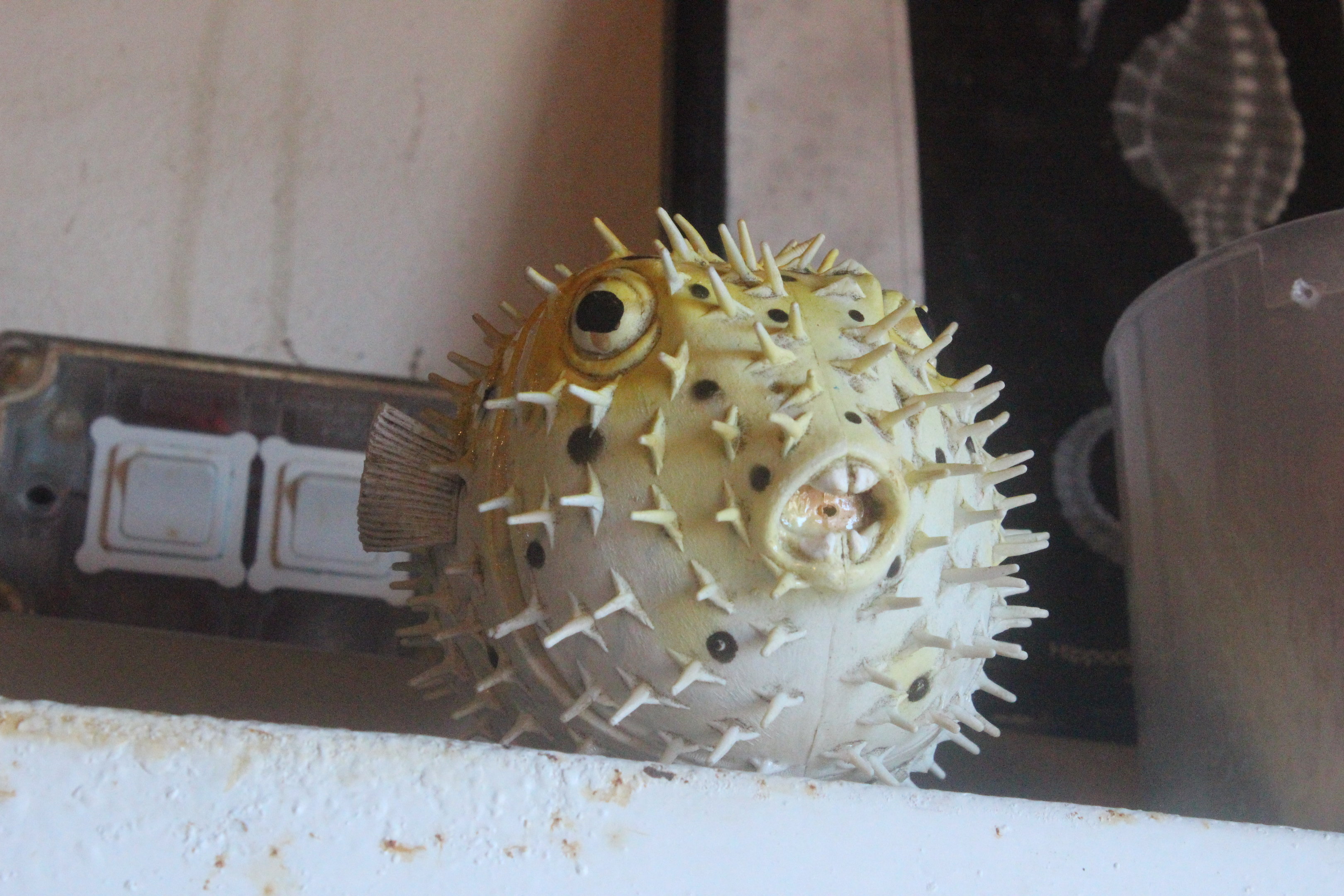 Model of Porcupinefish