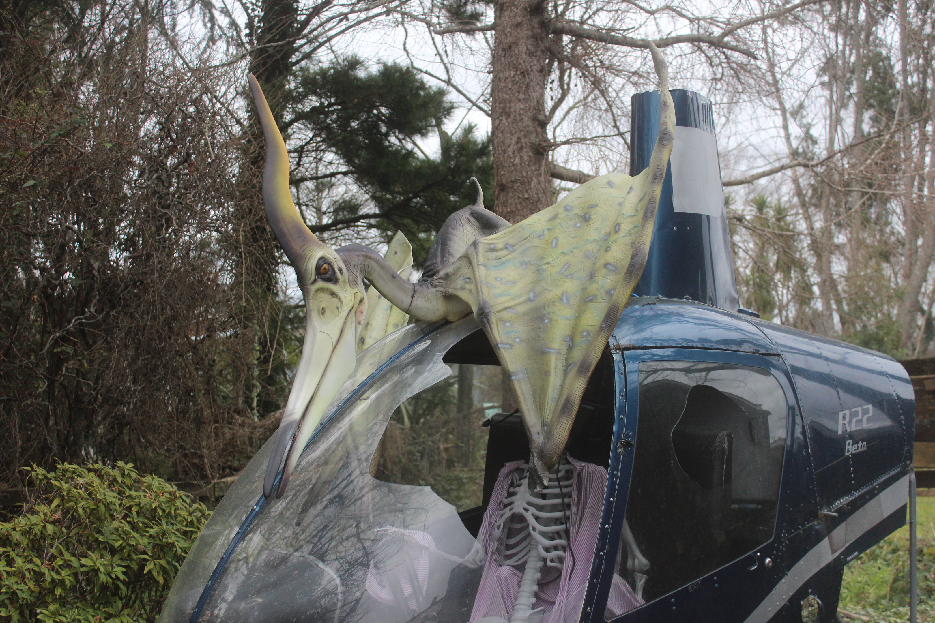 Model of Pteranodon, The Dinosaur House (Raetihi)