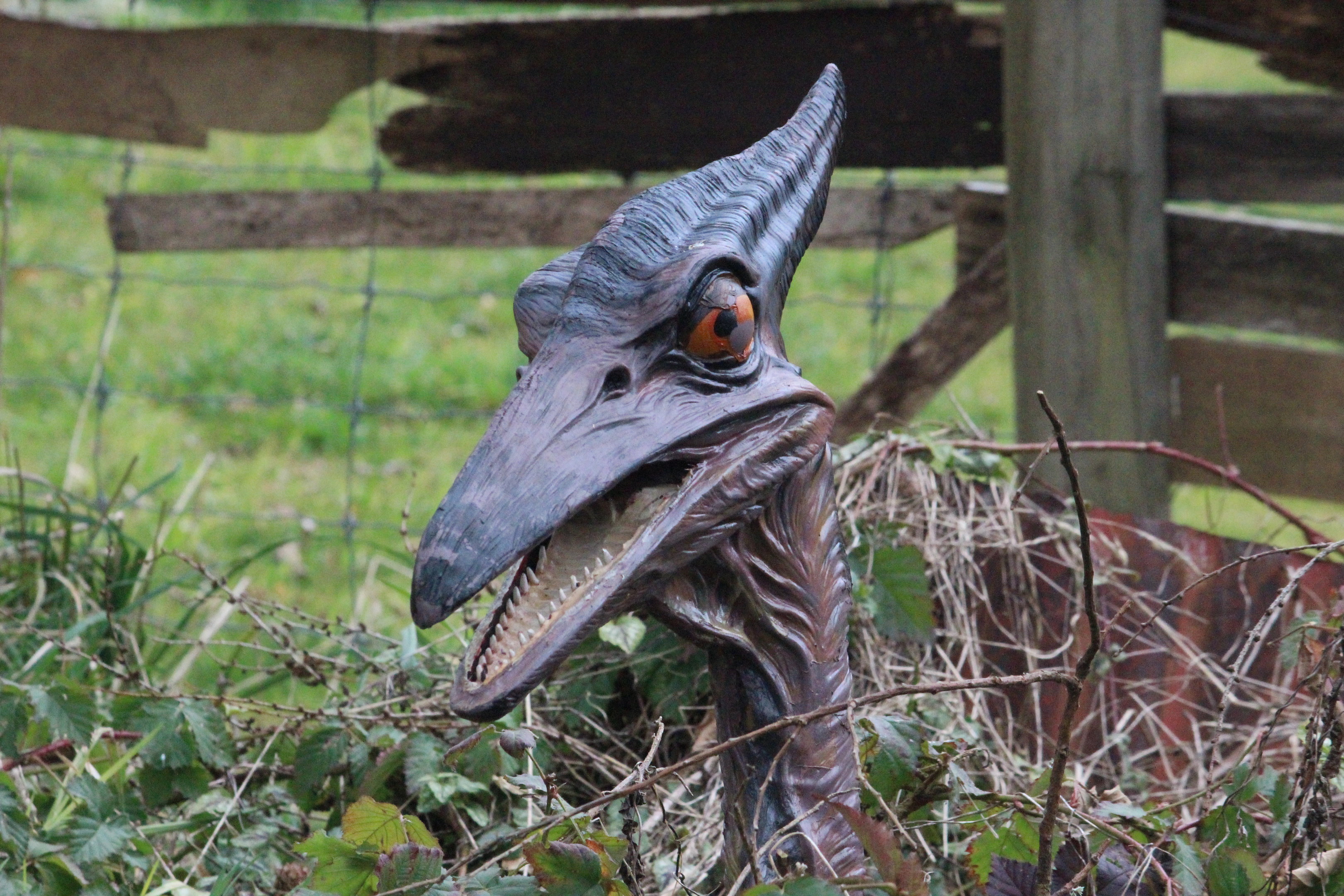 Model of Pteranodon, The Dinosaur House (Raetihi)