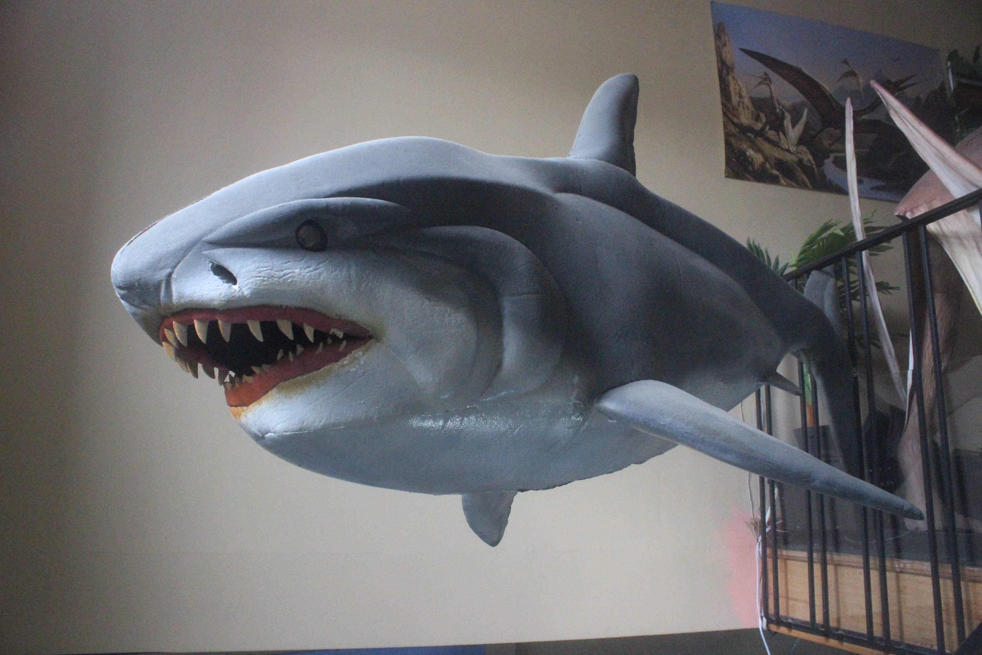 Model of Shark, The Dinosaur House (Raetihi)