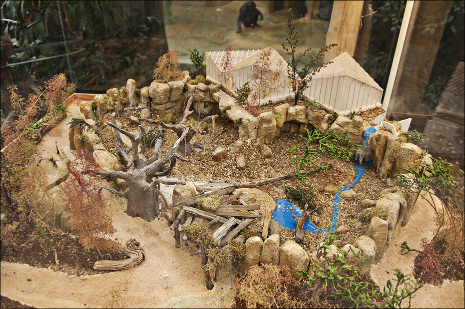 Model of the chimp enclosure at Hannover