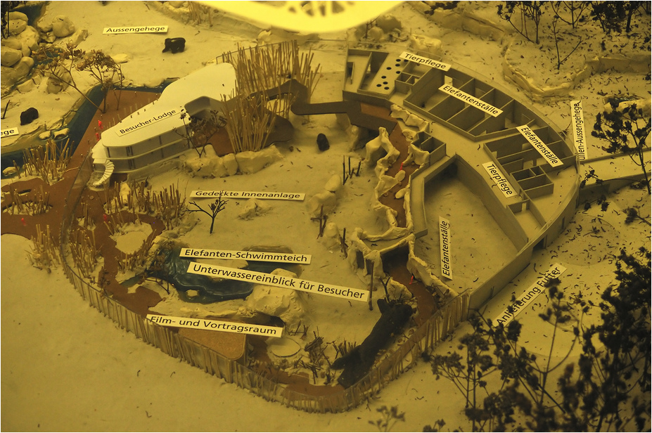 Model of the new elephant house at Zürich Zoo